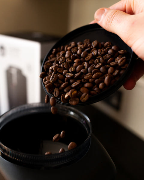Wilfa Svart Aroma Coffee Grinder (Black)